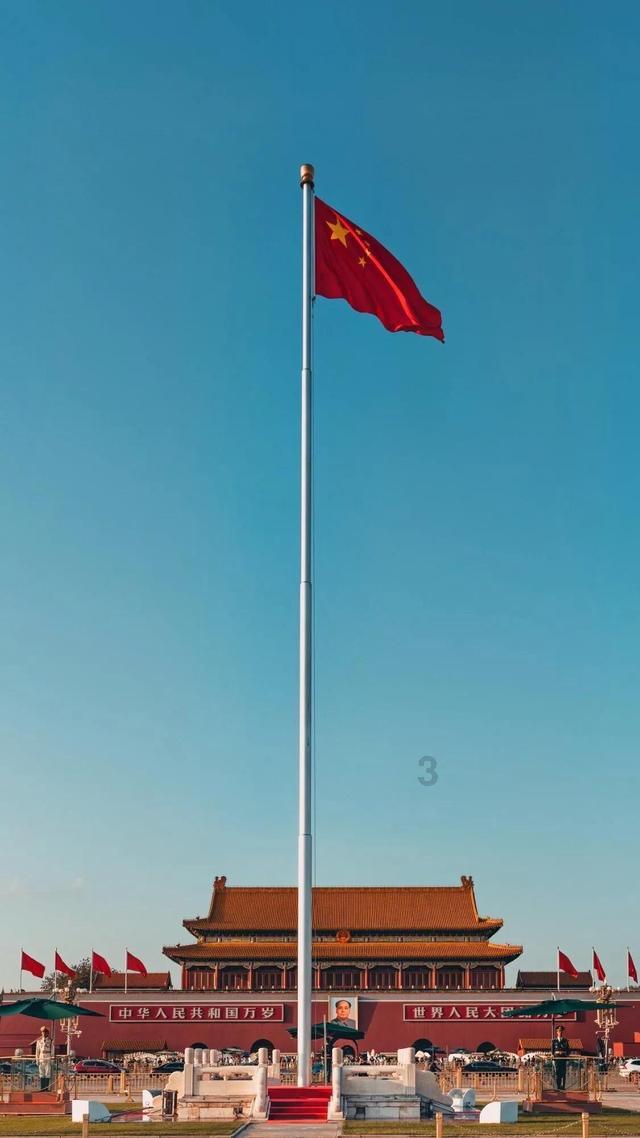救援可爱的洋葱