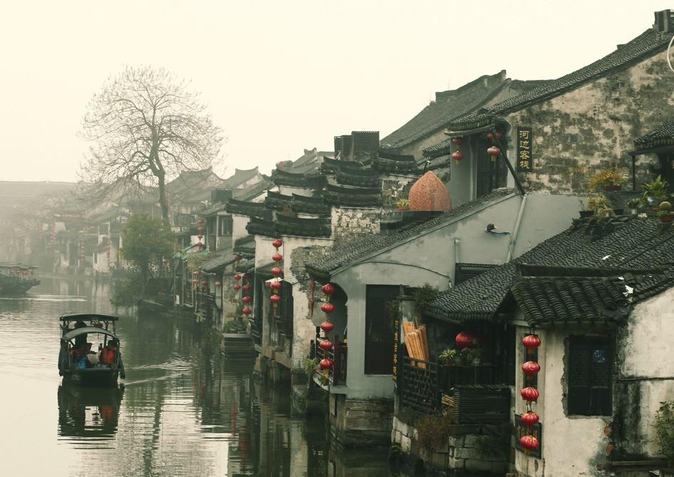 饿狮救援