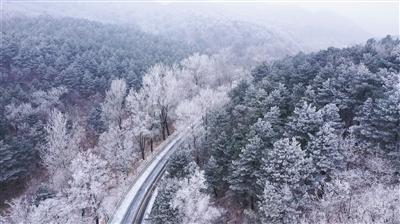 生化奇兵：无限
